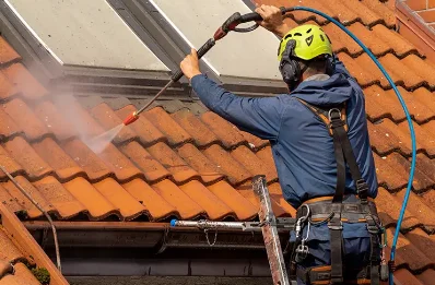 Démoussage et hydrofuge de toiture à Boresse-et-Martron